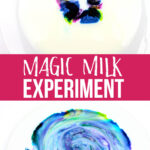 Amazing Magic Milk Experiment