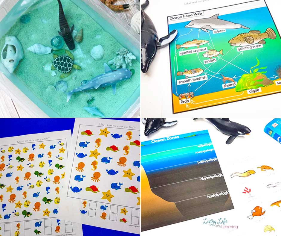Morphing Matter Ocean Kit 6 Figures Playset Kinetic Sensory Activity Toy Nat Geo 