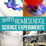 Simple Homeschool Science Experiments