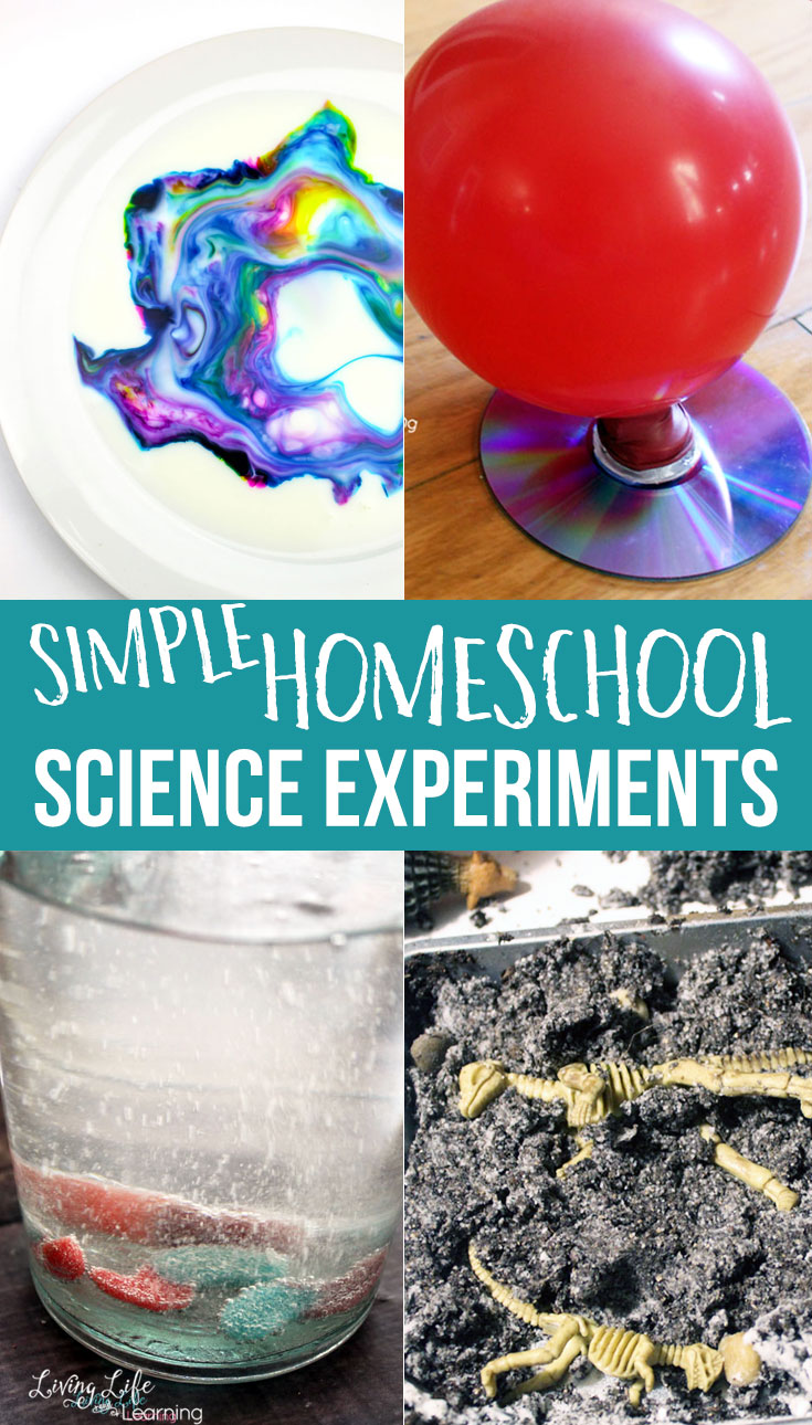 A variety of simple homeschool science experiments, including magic milk, balloon hovercraft and digging for dinosaurs. 