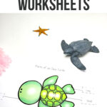 Sea Turtle Life Cycle Worksheets
