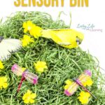 Spring Sensory Bin