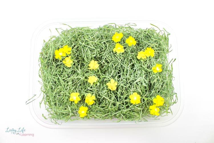 sensory bin for spring with grass and flowers