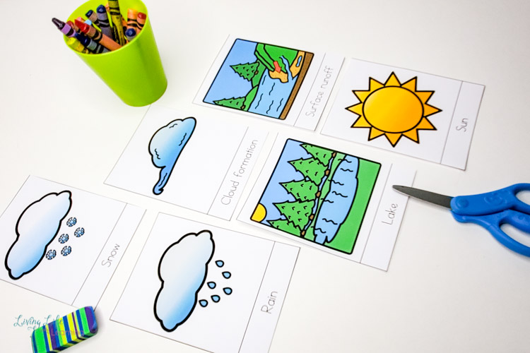 water cycle vocabulary cards