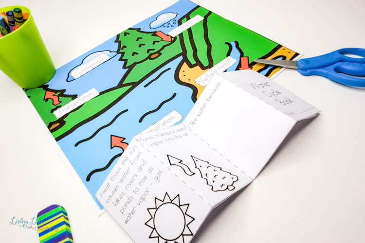 water cycle worksheets for kids 