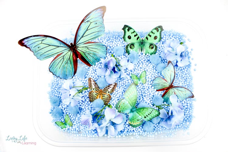 A variety of butterflies in different sizes complete the easy butterfly sensory bin.