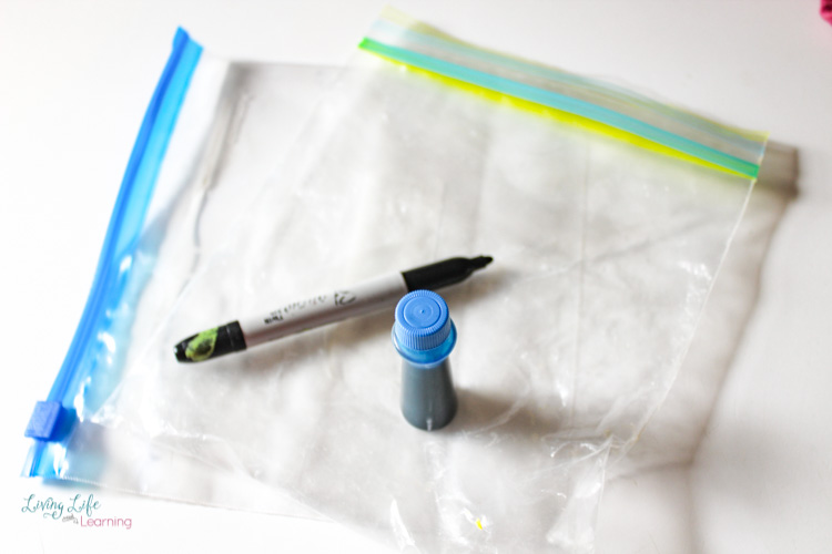 water cycle bag experiment supplies