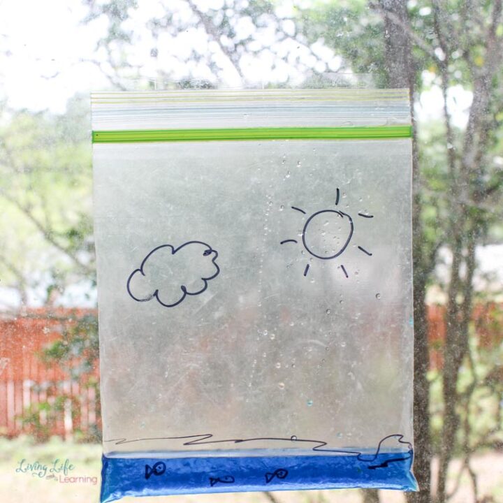 water cycle bag experiment