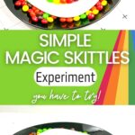 Simple Magic Skittles Experiment You Have to Try