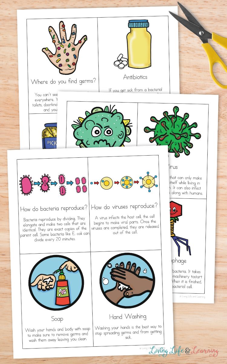 Hand Washing Dice Game Free Printable Germs Activities Hygiene