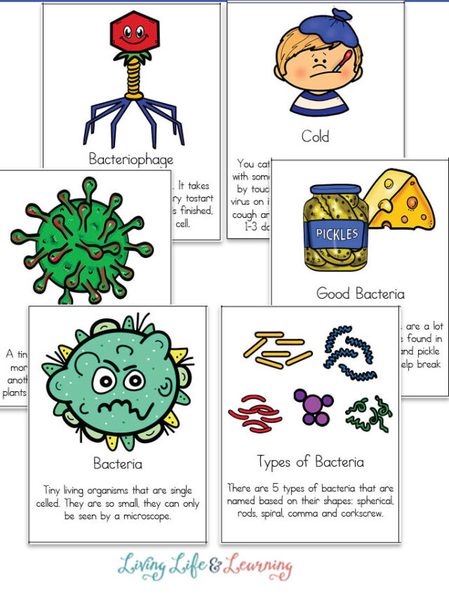 Fighting Germs Printable Cards for Kids Story