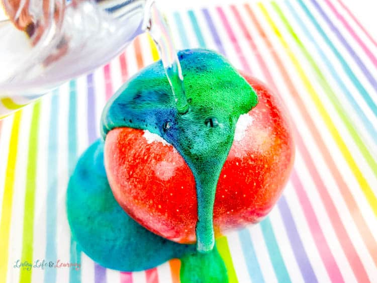 Pour vinegar over the baking soda in this fun apple volcano fizzy science experiment. 
