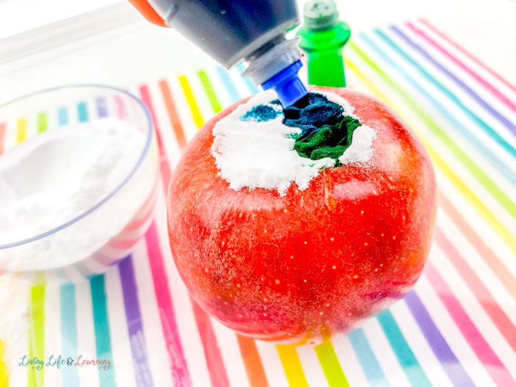 Get ready for colorful ooze by adding blue and green food coloring to baking soda in an apple volcano science experiment. 