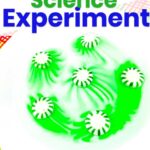 Easy Peppermint Science Experiment