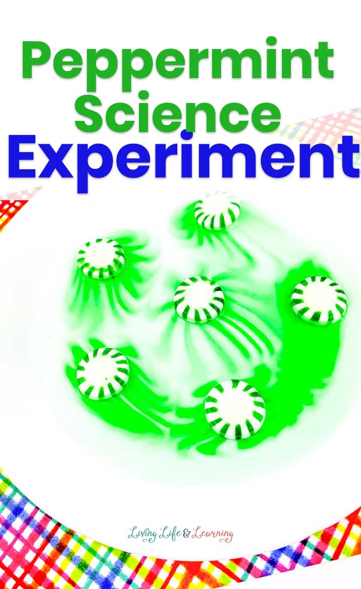 Easy Peppermint Science Experiment