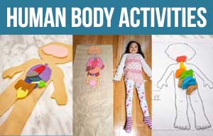 human body activities for early learning