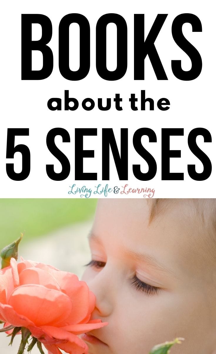 books about the 5 senses