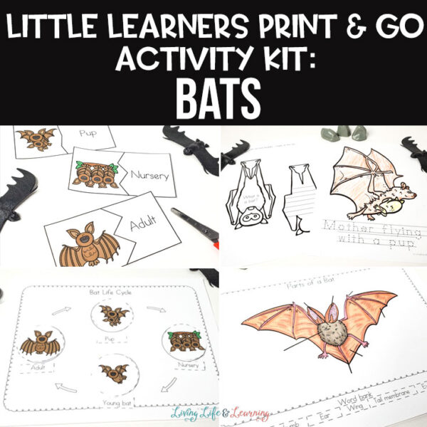 Little Learners print and go activity kit bats