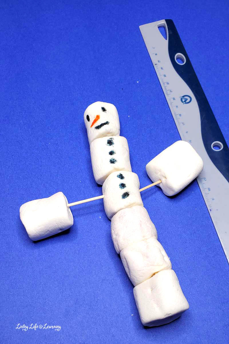 Simple Snowman Marshmallow STEM challenge