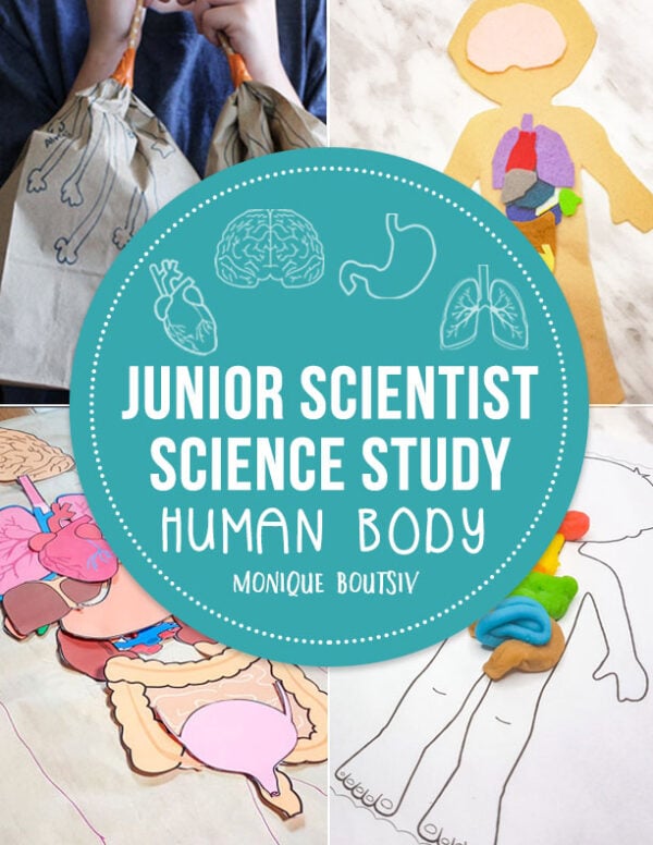Junior Scientist Science Study Human Body