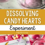 Dissolving Candy Hearts Experiment