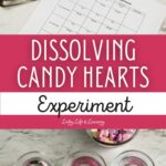 Dissolving Candy Hearts Experiment