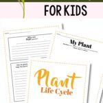Parts of a Plant for Kids