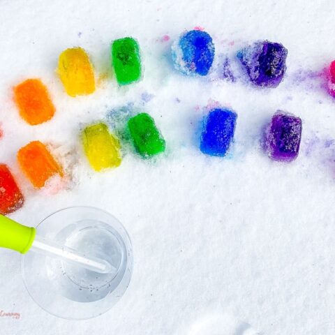 Fun Rainbow Ice Activity