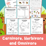 Carnivore Herbivore Omnivore Worksheets