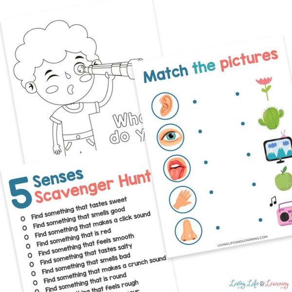 5 senses worksheets for kids