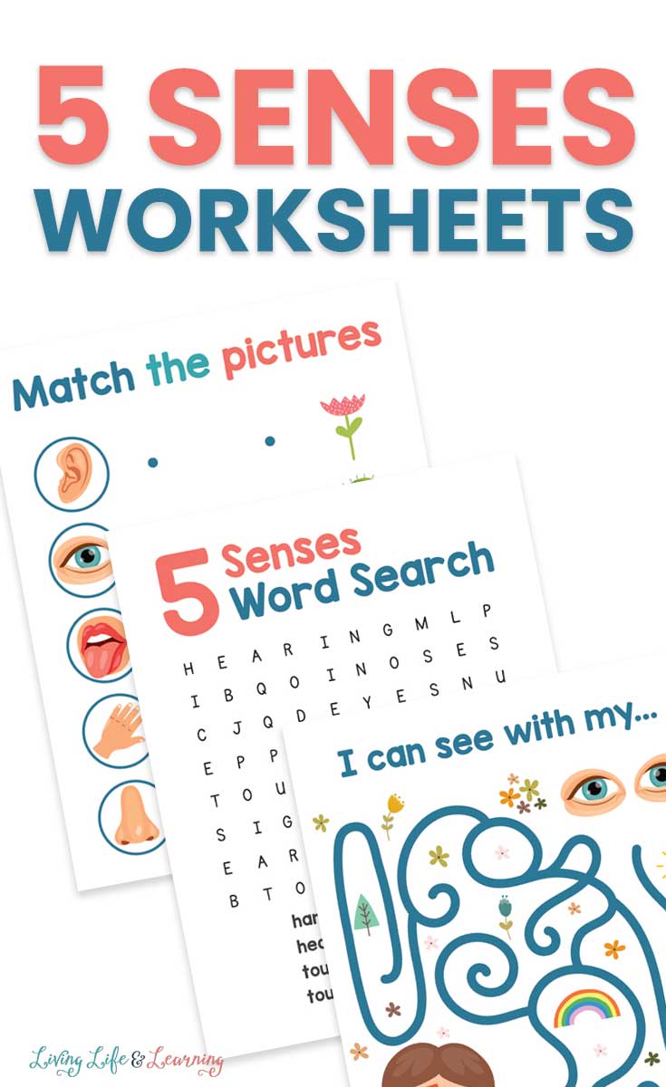 Fun 5 Senses Worksheets for Kids