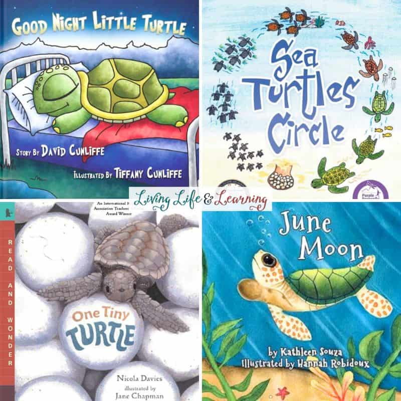 collage of Sea Turtle Books for Preschoolers