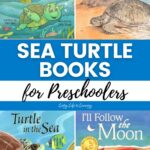collage of Sea Turtle Books for Preschoolers