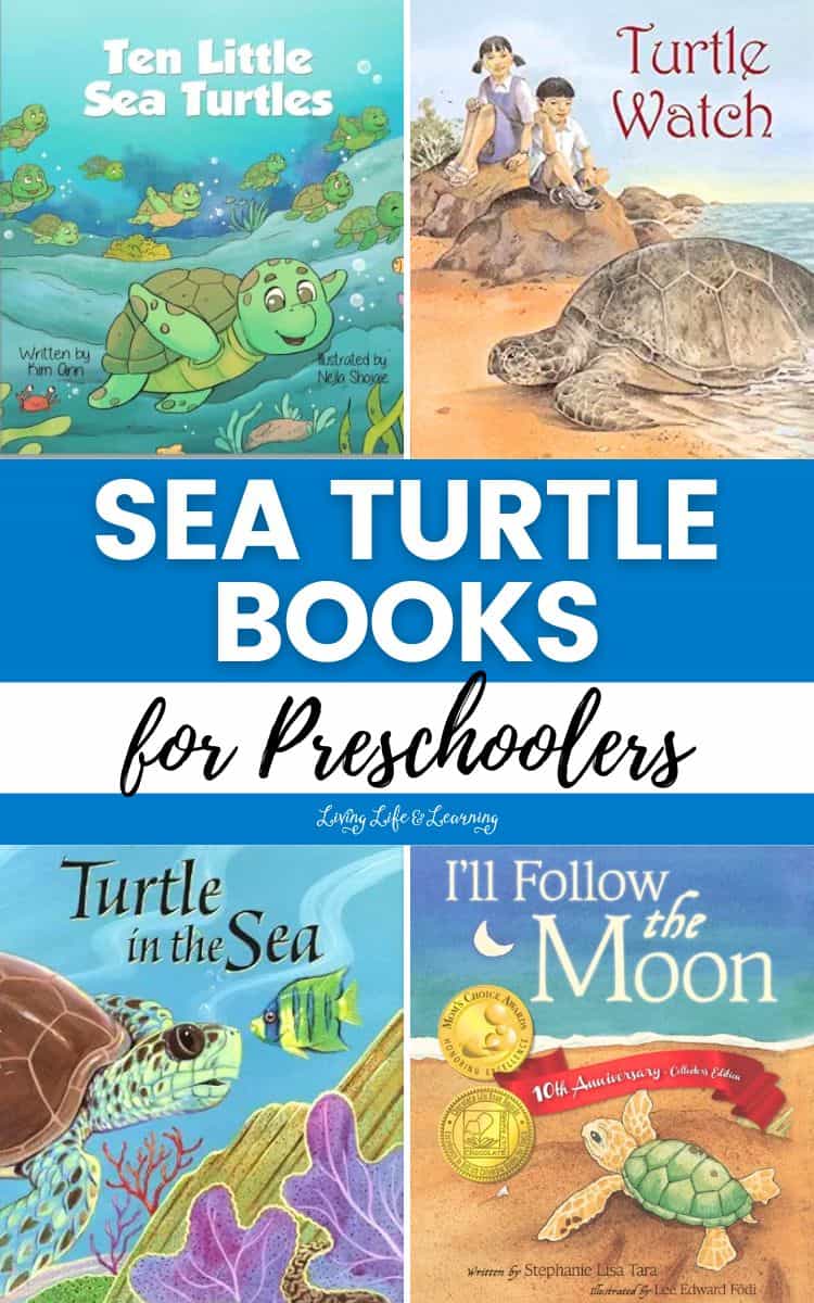 collage of Sea Turtle Books for Preschoolers