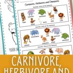 Carnivore, Herbivore and Omnivore Worksheets