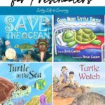 collage of Sea Turtle Books for Preschoolers