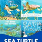 collage of Sea Turtle Books for Preschoolers