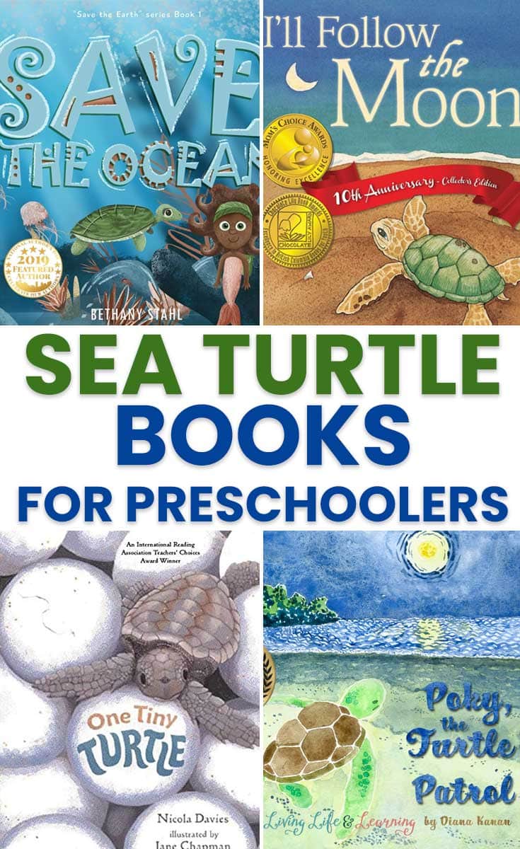 Sea Turtle Books for Preschoolers