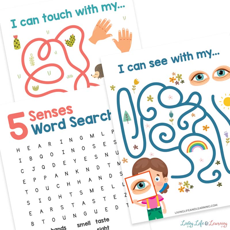 five senses worksheets 