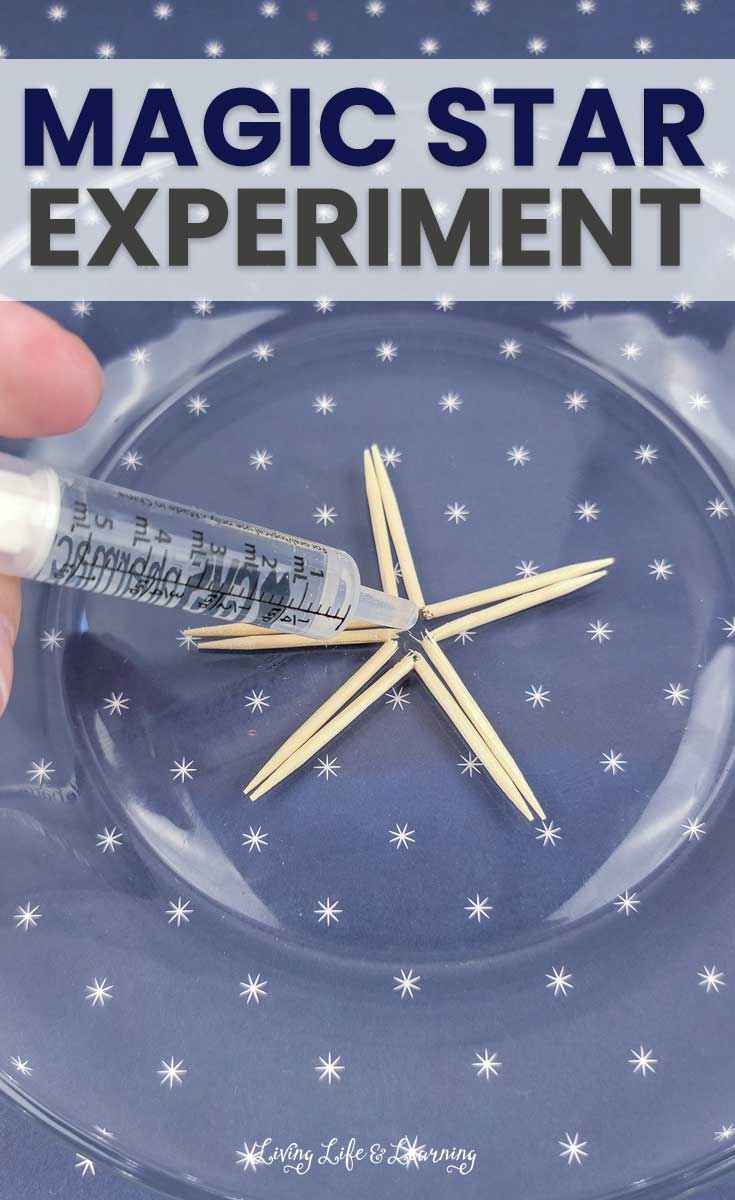 Magic Toothpick Star Experiment