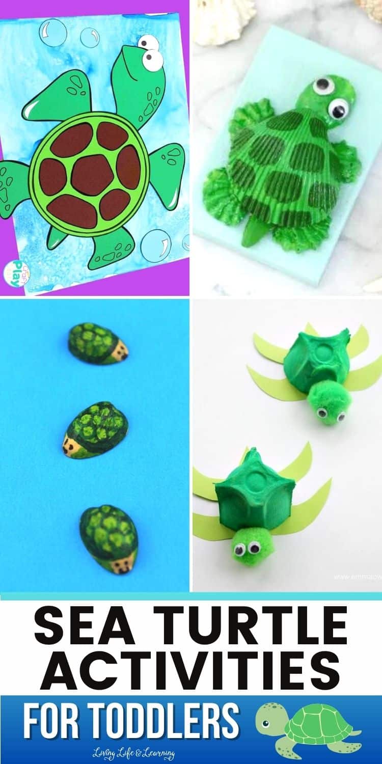 Fun Sea Turtle Activities for Toddlers