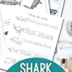 Image of shark worksheets for kids