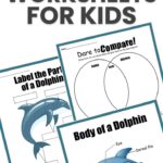 Printable Dolphin Worksheets