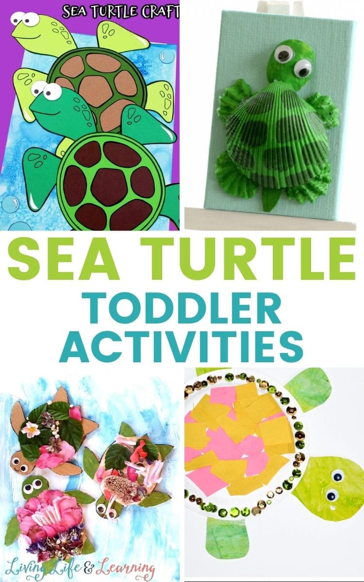 Sea Turtle Activities for Toddlers
