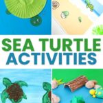 Sea Turtle Activities for Kids