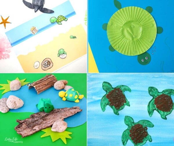 sea turtle activities for kids 