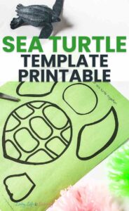 Sea Turtle Template Printable