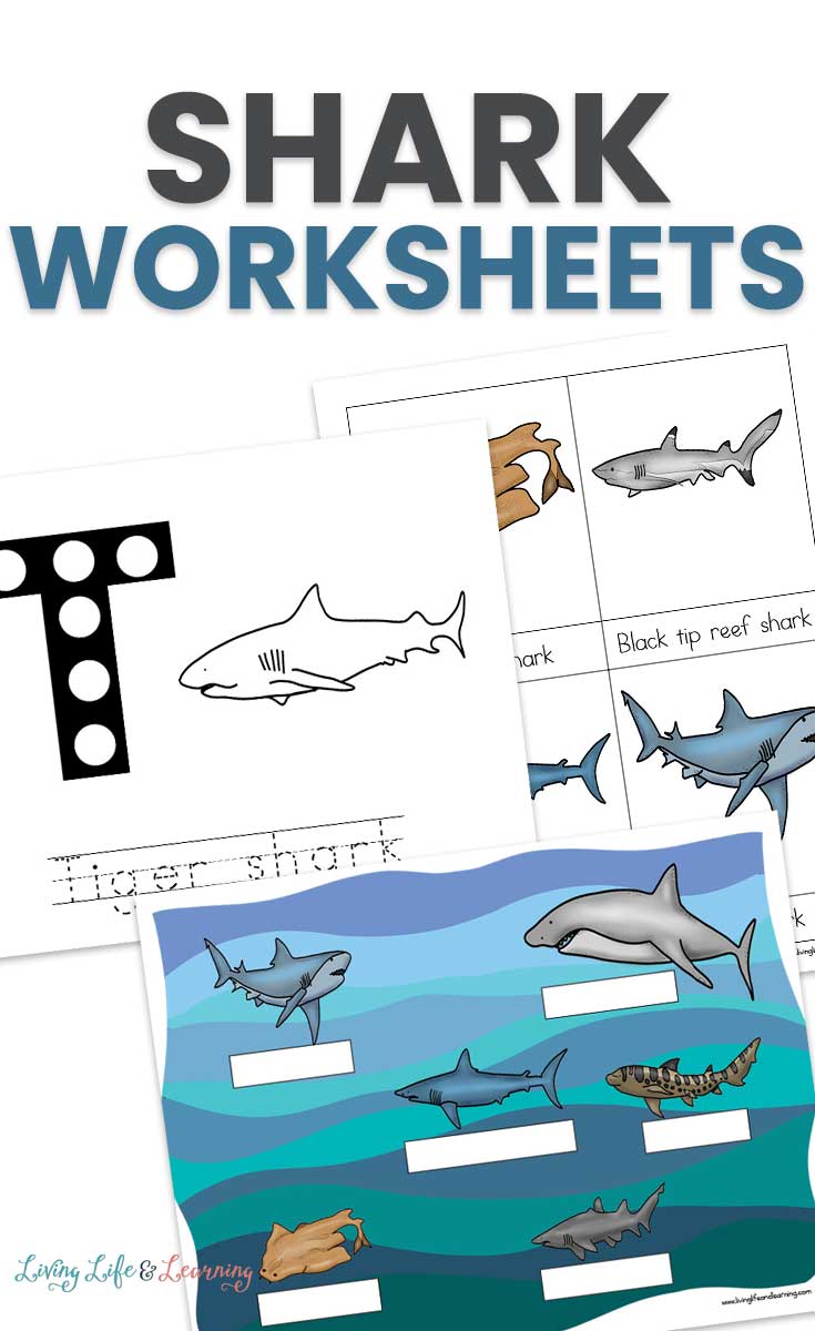 Shark Worksheets For Kindergarten Esclavodetusvesos