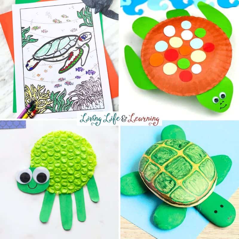 collage of Sea Turtle Activities for Kids