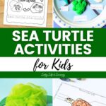 collage of Sea Turtle Activities for Kids